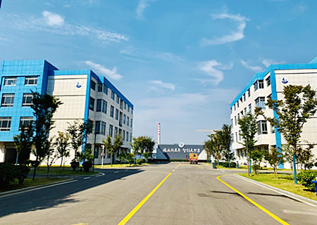 山東國(guó)康醫(yī)用微量元素檢測(cè)儀廠家